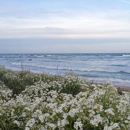 House Albena Hotel Durankulak Kültér fotó