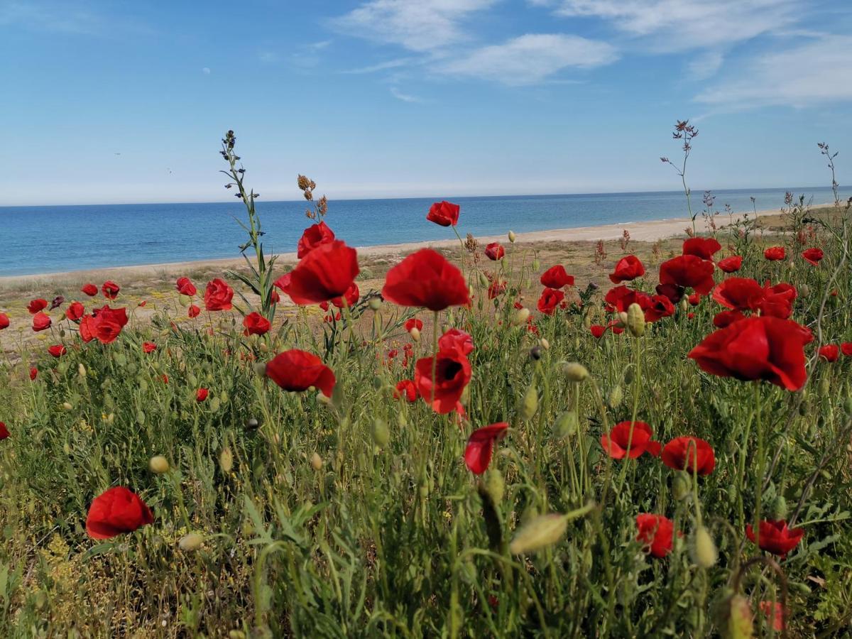 House Albena Hotel Durankulak Kültér fotó