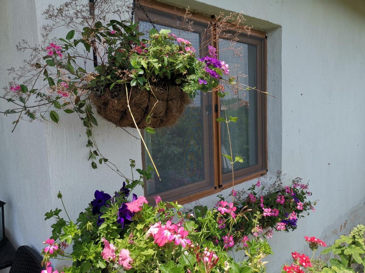 House Albena Hotel Durankulak Kültér fotó