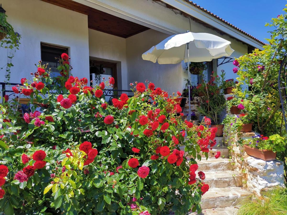 House Albena Hotel Durankulak Kültér fotó